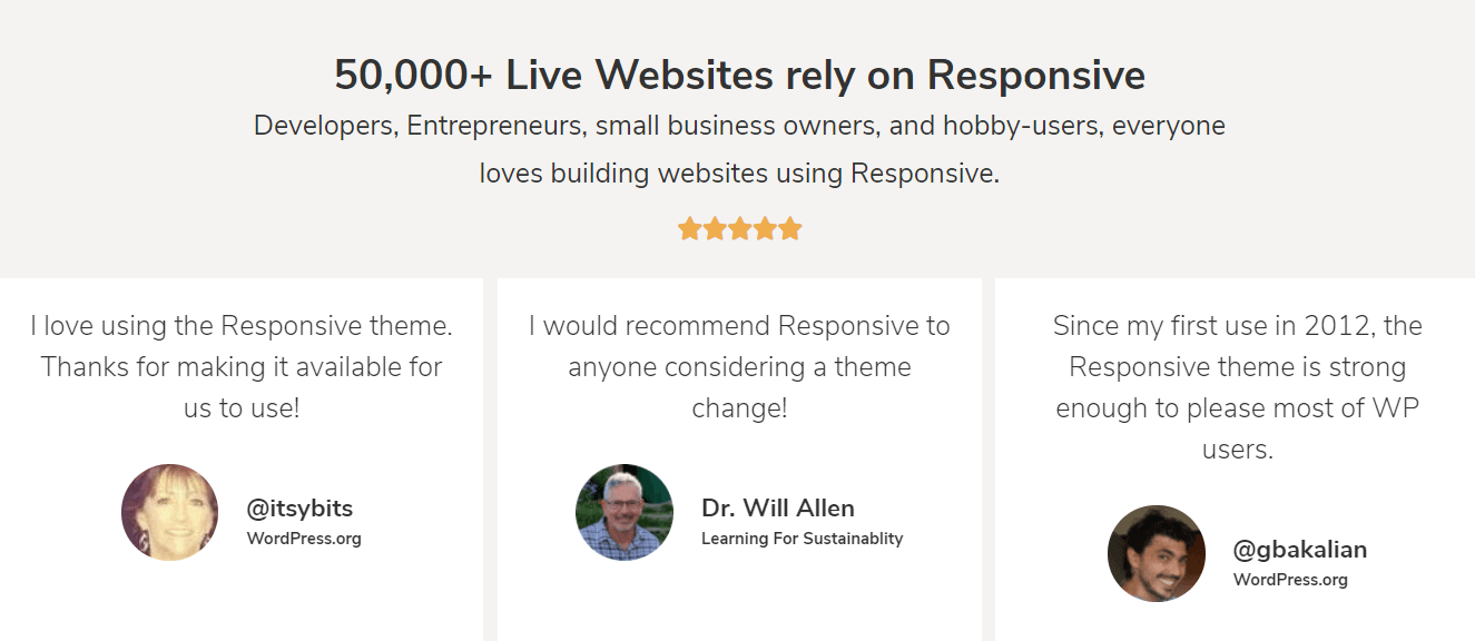 CyberChimps Black Friday Deals User Review 