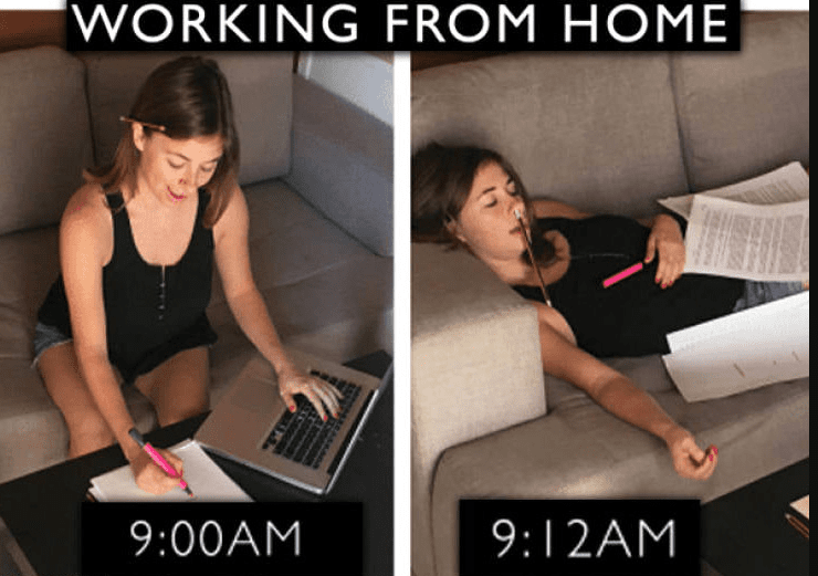 Productivity? Um! What’s that? / The Best Work From Home Memes
