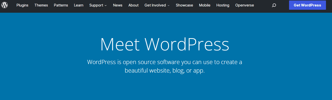 Wordpress Home