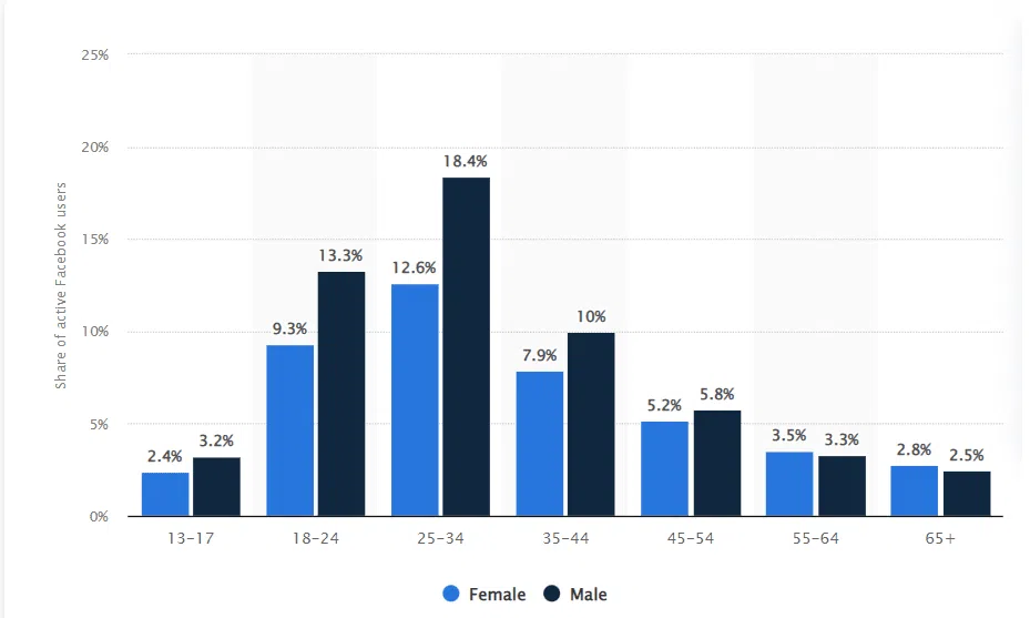 Demographics by gender and age