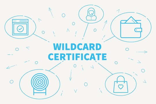 wildcard certificate- type of ssl certificates